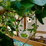 Appartamento Sun & Sea Zara