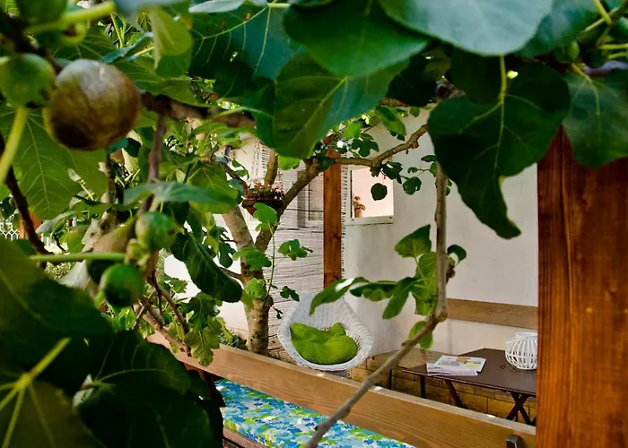 Apartment Sun & Sea Zadar